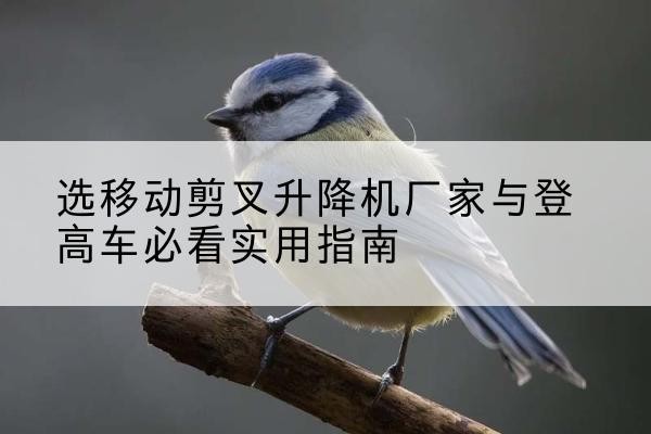 抚远电动升降机厂家-选移动剪叉升降机厂家与登高车必看实用指南