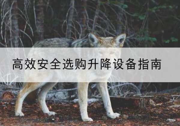 抚远升降货梯厂家推荐-*安全选购升降设备指南