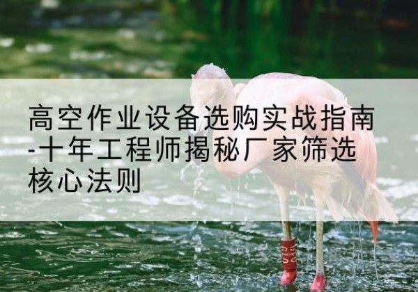 抚远剪叉式升降机厂家-高空作业设备选购实战指南-十年工程师揭秘厂家筛选核心法则